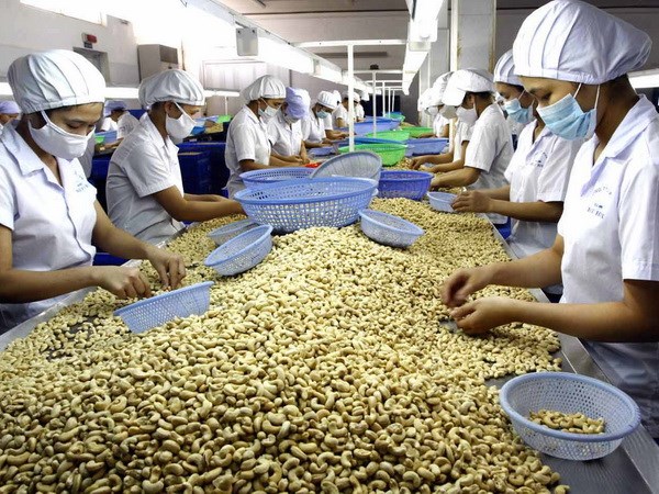 Food processing Vietnam(apaco-vn.com)